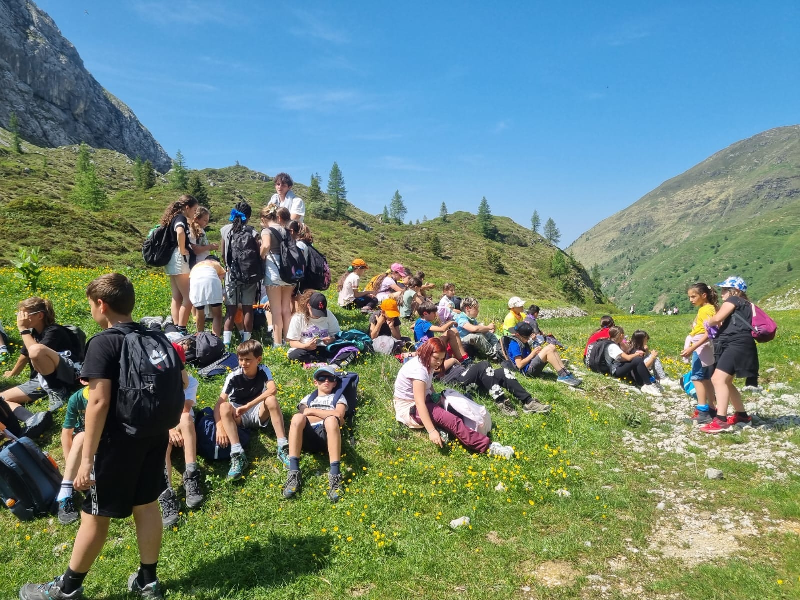 Chi Siamo